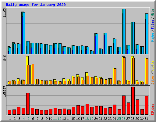 Daily usage for January 2020