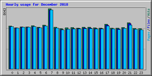 Hourly usage for December 2018