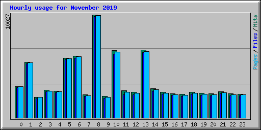 Hourly usage for November 2019