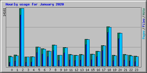 Hourly usage for January 2020