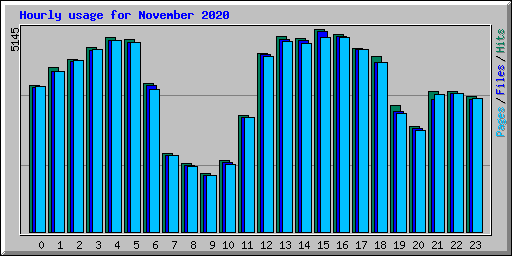 Hourly usage for November 2020